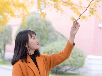 菲律宾华侨家族比例(菲社全面详解)